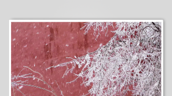 冬天唯美雪花飘素材背景-众图网