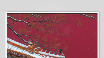 冬天唯美雪花飘素材背景-众图网