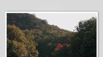 冬天唯美雪花飘素材背景-众图网