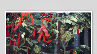 冬天唯美雪花飘素材背景-众图网