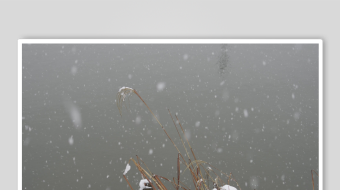 冬天唯美雪花飘素材背景-众图网