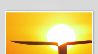 夕阳纸飞机素材背景-众图网