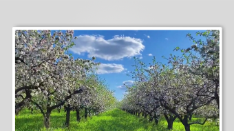 减压助眠背景视频素材-众图网