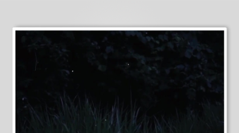 减压助眠背景视频素材-众图网