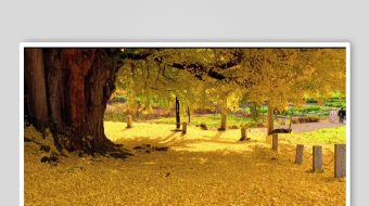 减压助眠背景视频素材-众图网