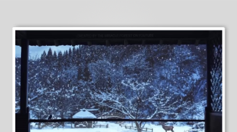 减压助眠背景视频素材-众图网