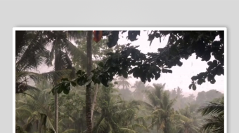 减压助眠背景视频素材-众图网