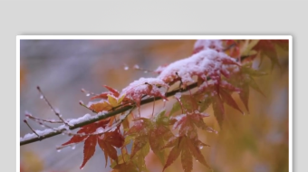 减压助眠背景视频素材-众图网