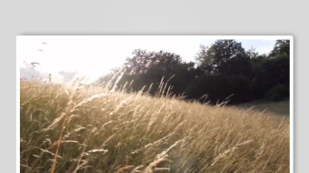 减压助眠背景视频素材-众图网