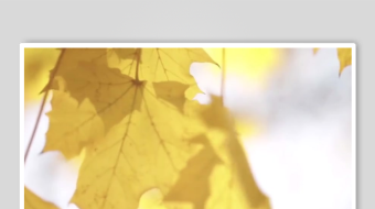 减压助眠背景视频素材-众图网