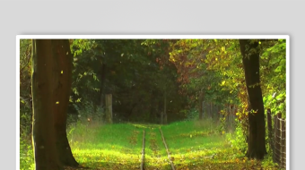 减压助眠背景视频素材-众图网