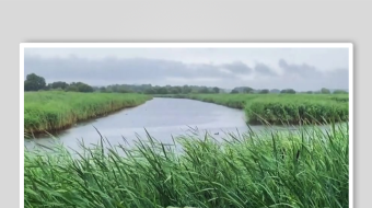 减压助眠背景视频素材-众图网