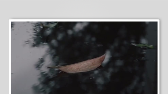 减压助眠背景视频素材-众图网