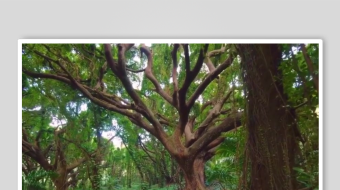 减压助眠背景视频素材-众图网