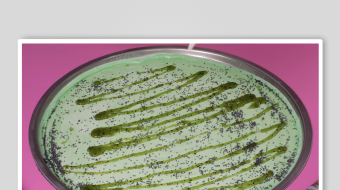 炒酸奶冰淇淋视频素材-众图网