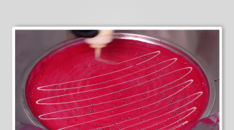 炒酸奶冰淇淋视频素材-众图网