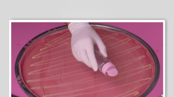 炒酸奶冰淇淋视频素材-众图网