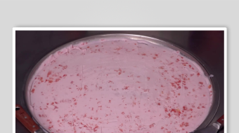 炒酸奶冰淇淋视频素材-众图网