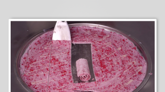 炒酸奶冰淇淋视频素材-众图网