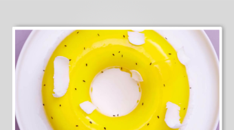 蛋糕裱花视频素材-众图网