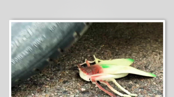 解压视频背景素材-众图网