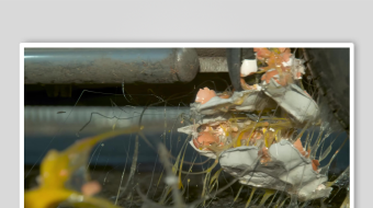 解压视频背景素材-众图网