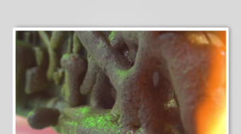 解压视频背景素材-众图网