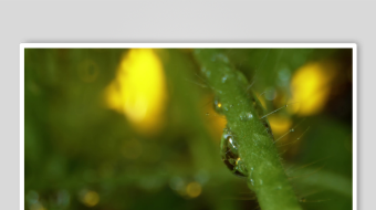 解压视频背景素材-众图网