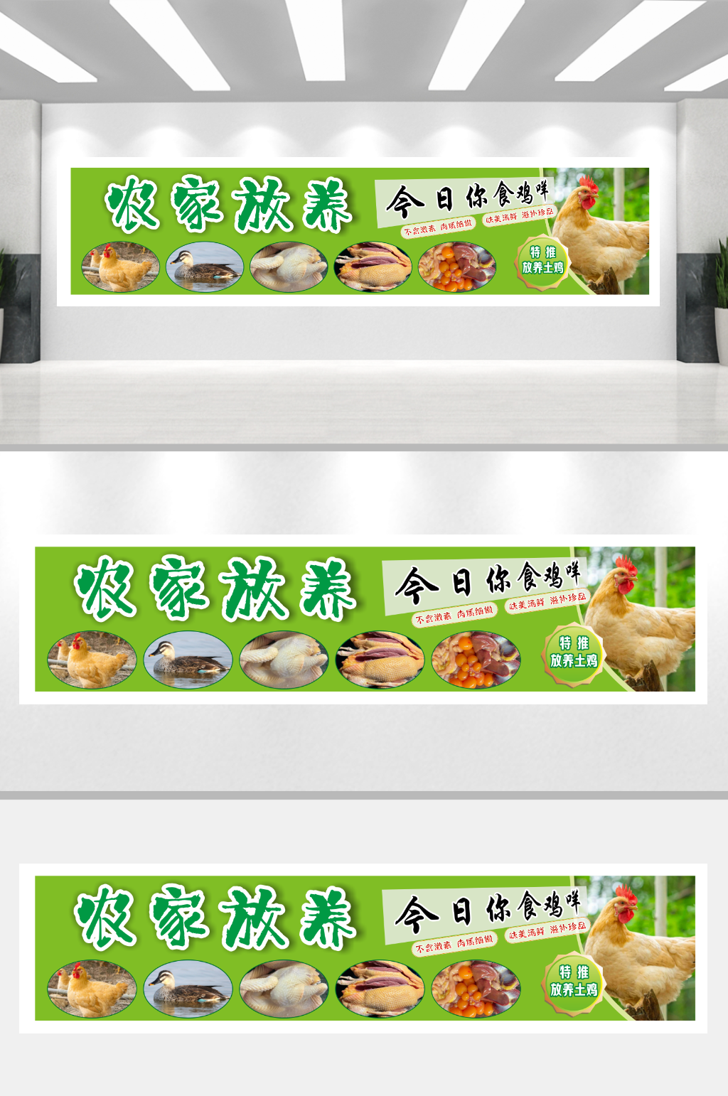 农家放养土鸡招牌素材