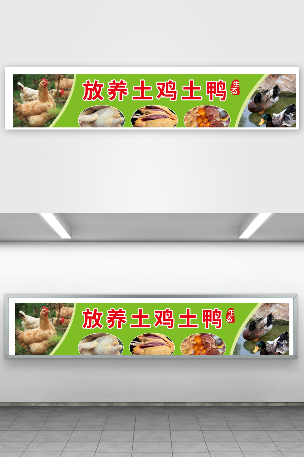 放养土鸡土鸭招牌素材