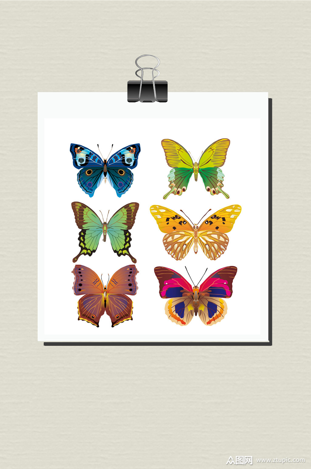 矢量图形蝴蝶六只