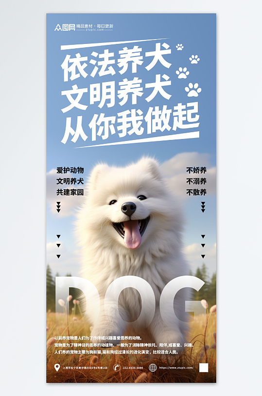 文明养犬宠物海报