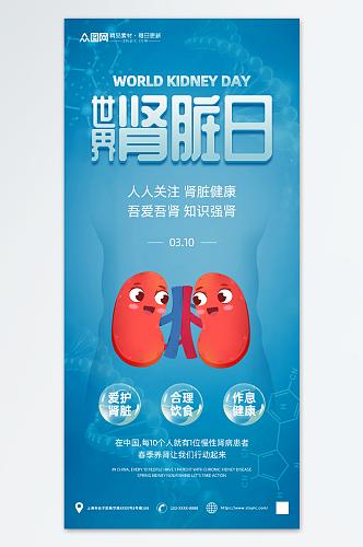 简约世界肾脏日宣传海报