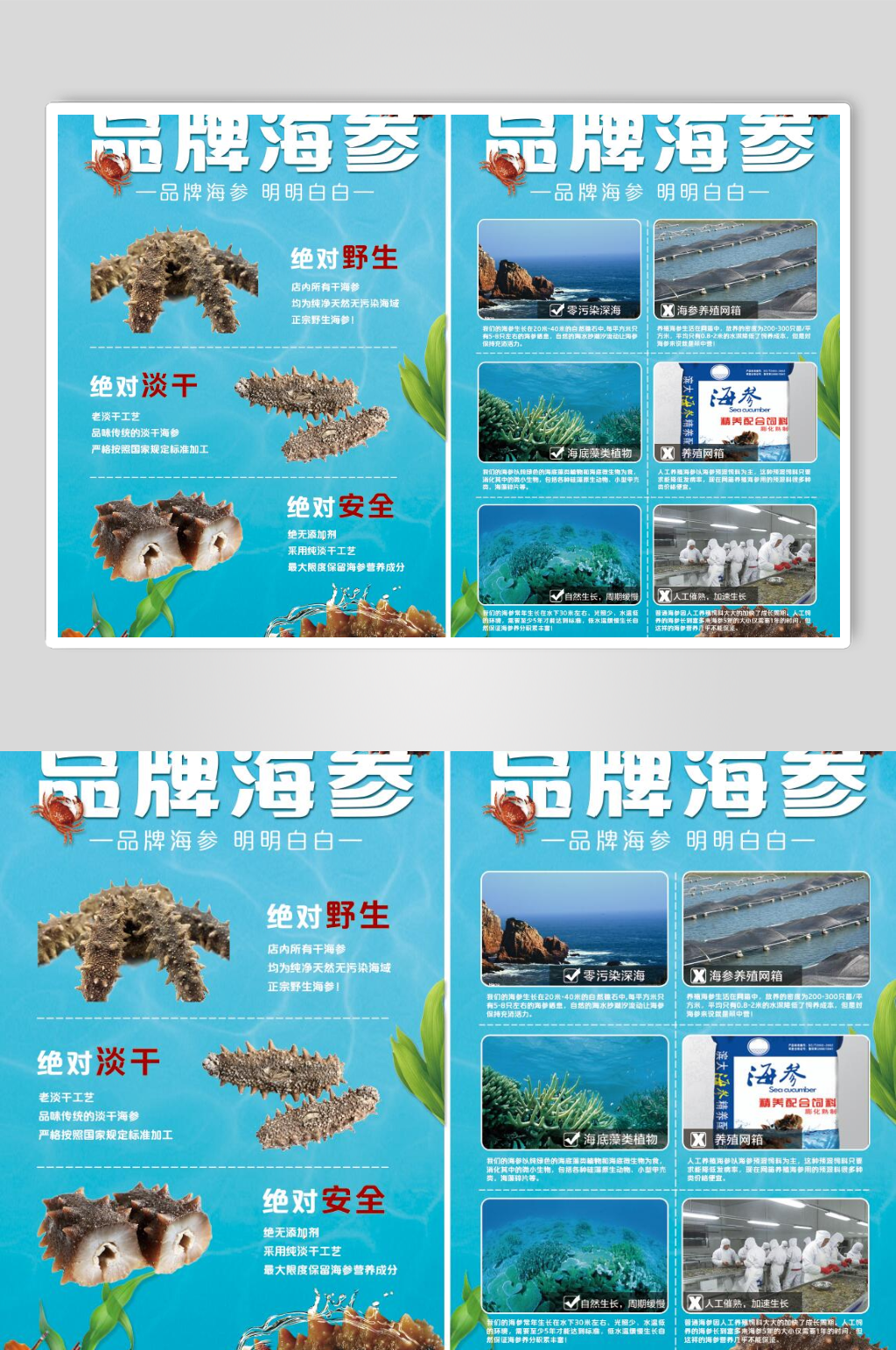 海参传单海参海报素材