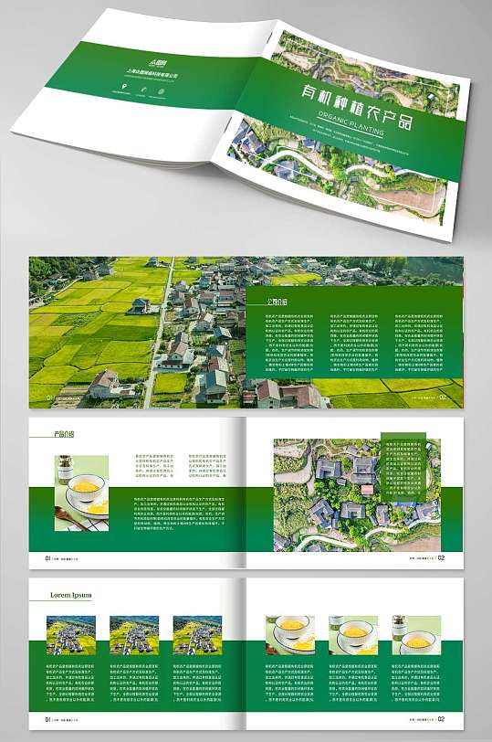 绿色清雅有机种植农产品宣传册农业画册