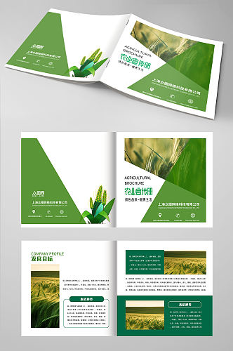 绿色简单水稻绿色农产品农业种植画册