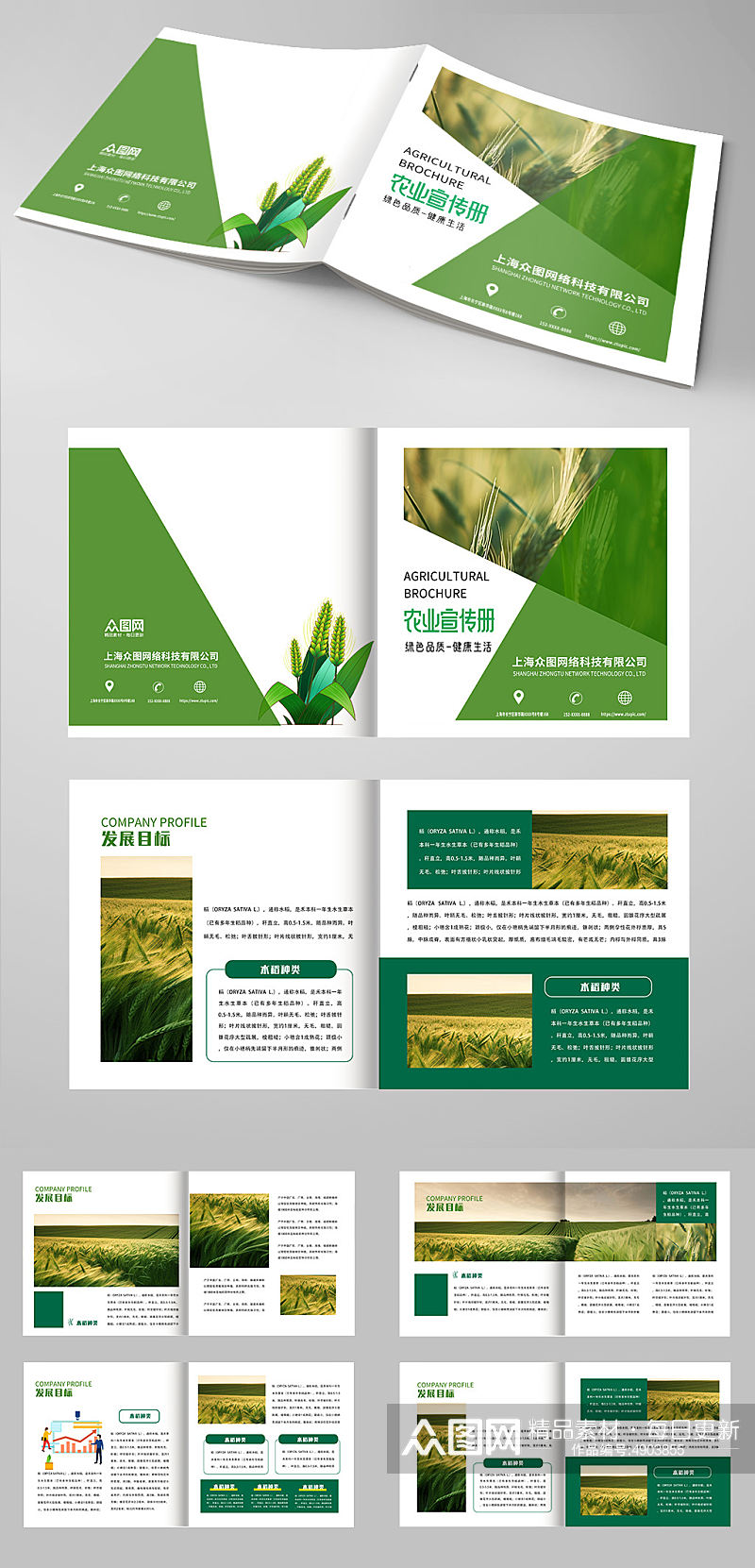 绿色简单水稻绿色农产品农业种植画册素材