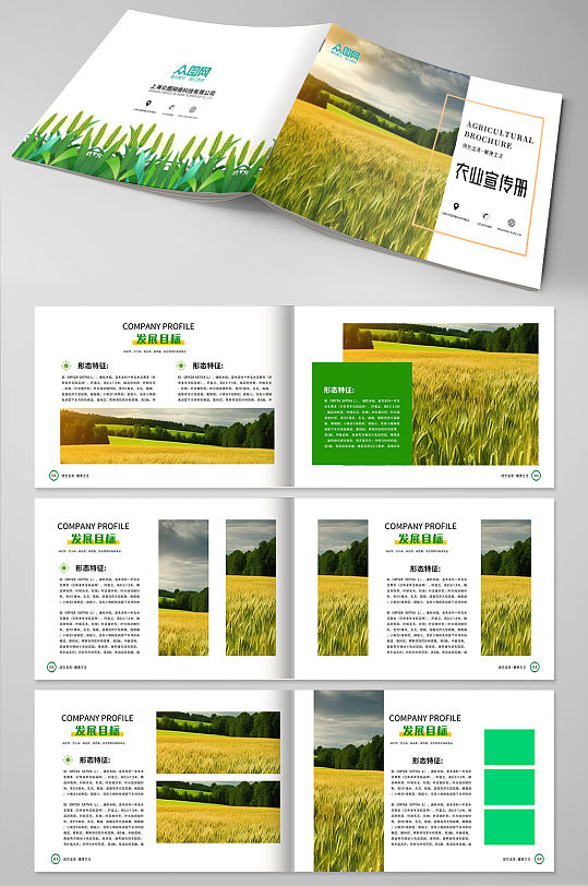 个性水稻绿色农产品农业种植画册