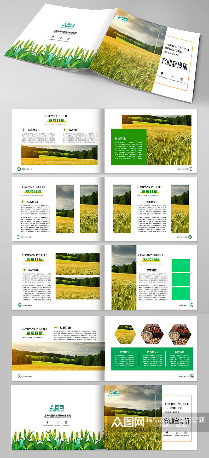 个性水稻绿色农产品农业种植画册素材