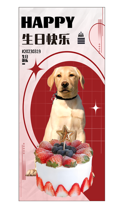 宠物生日宴狗狗生日宴展架