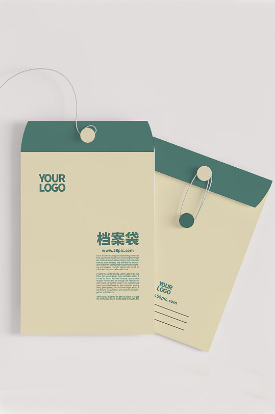 模型档案袋文件袋样机vi