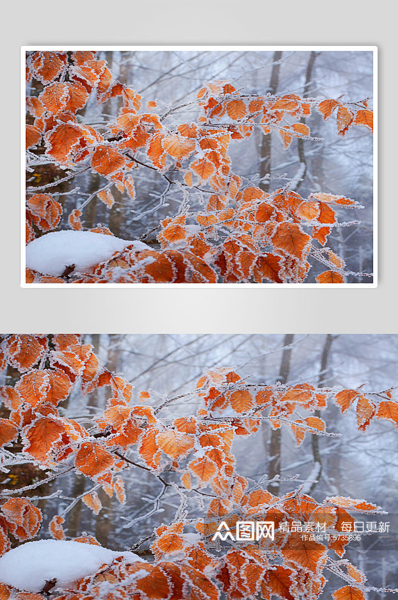 创意高清唯美冬天雪景图片素材