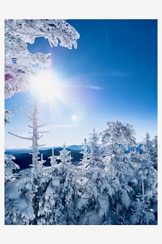 大雪摄影雪山雪树素材