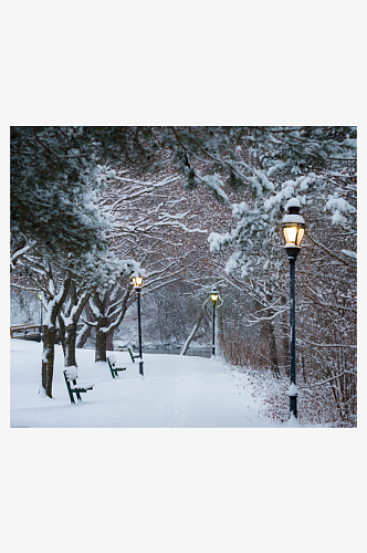 大雪摄影雪山雪树素材