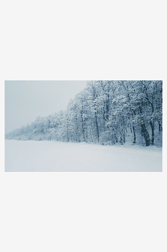 大雪摄影雪山雪树