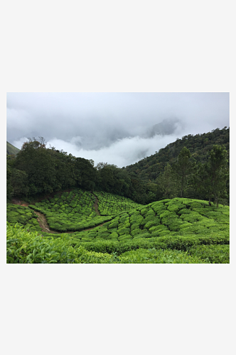 乡村田野风景摄影素材