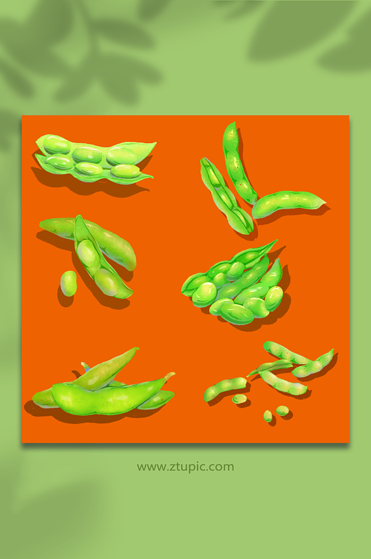 绿色蔬菜毛豆蔬菜元素插画