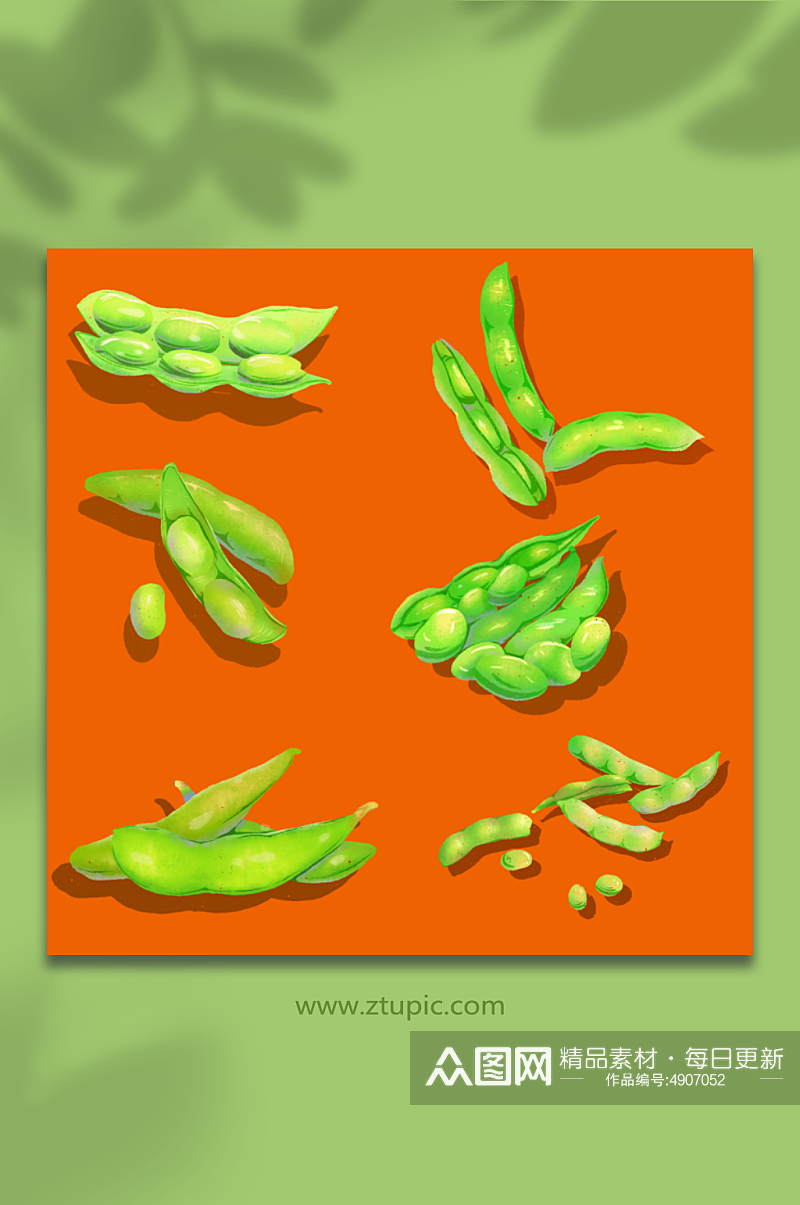 绿色蔬菜毛豆蔬菜元素插画素材