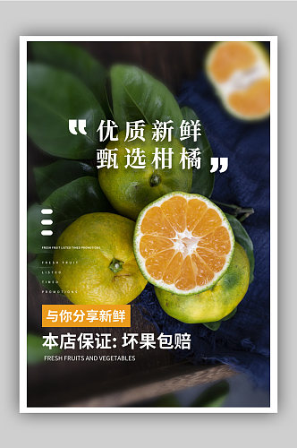 新鲜甄选柑橘水果促销海报