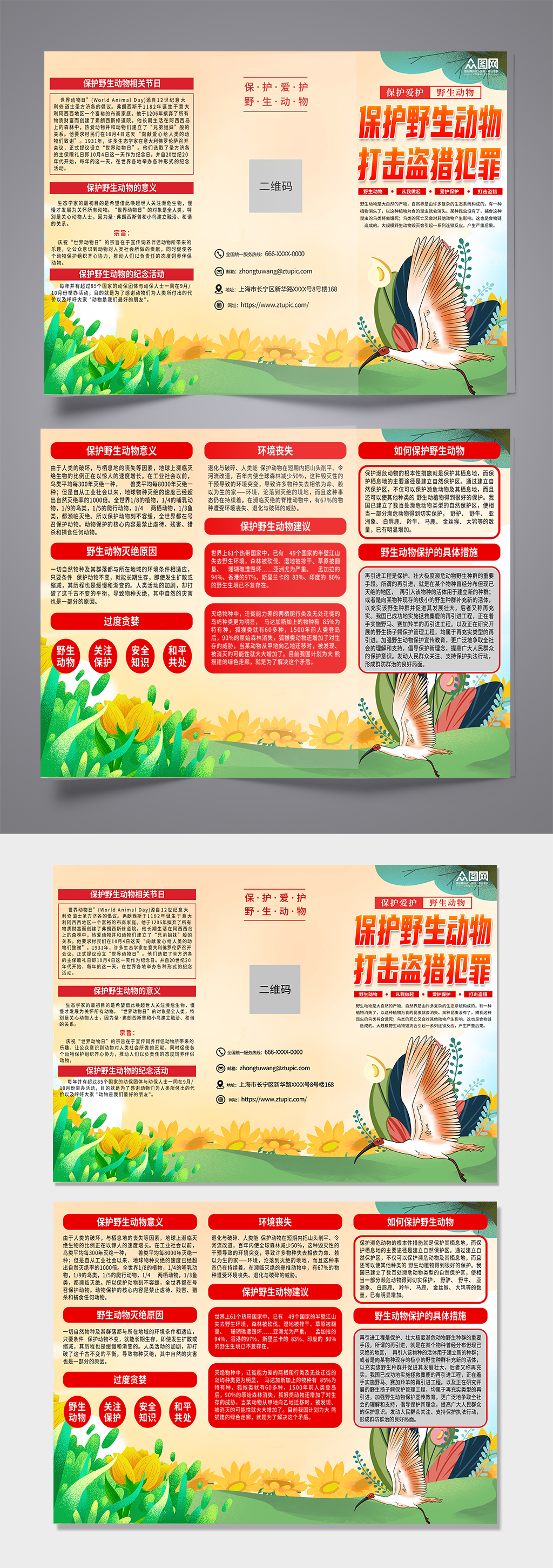 解读保护野生动物宣传三折页素材